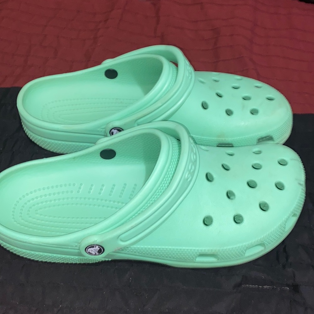 Crocs Adult Classic Crog (Mint)